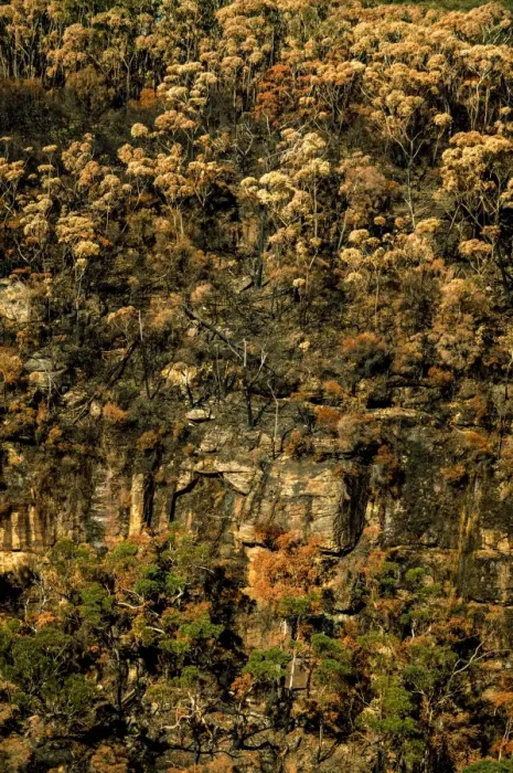 Framed Print : Burned Kangaroo Valley in southern highland, New south Wales