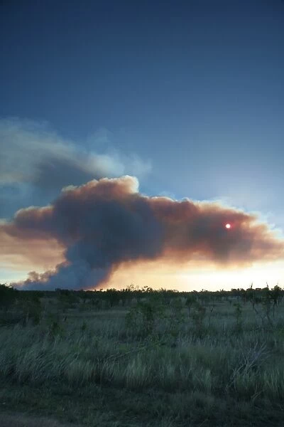 Bush Fire, Northern Territory, Australia