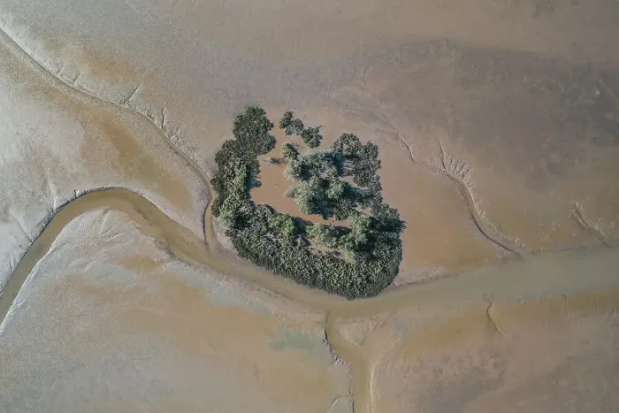 Framed Print : Bush in the Fitzroy River estuary seen from a drone perspective, Derby, Western Australia, Australia