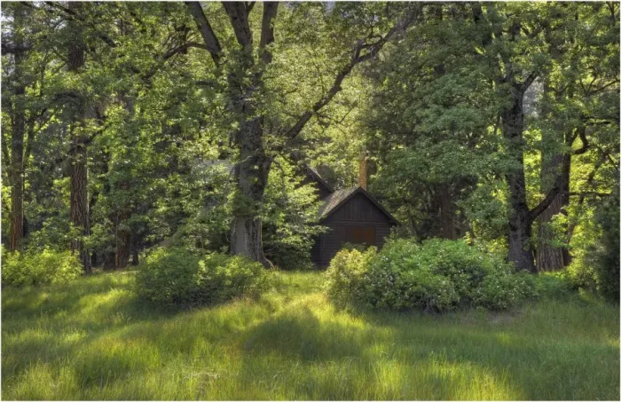 Framed Print : A cabin in Yosemite national Park, California