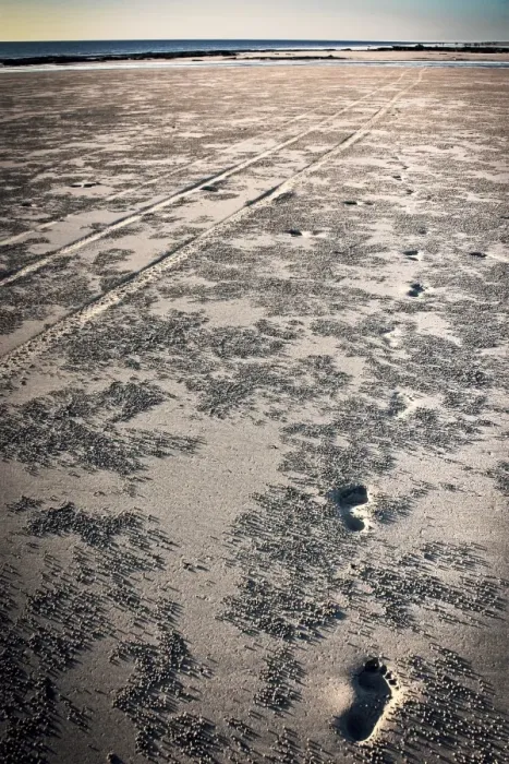 Framed Print : Cable Beach, Broome