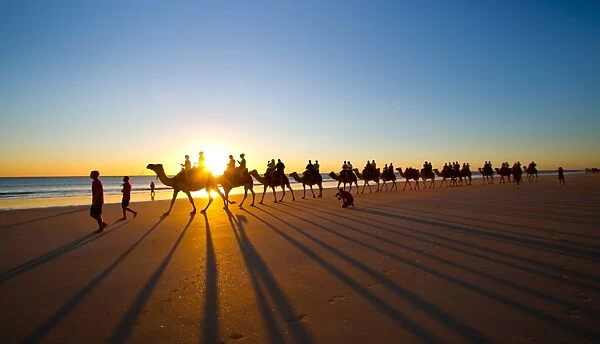 Cable Beach - The famous camel ride