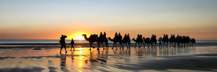 Framed Print : camel train Framed Print : camel train