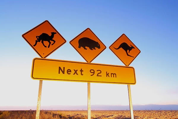 Camel wombat and kangaroo sign. Australia