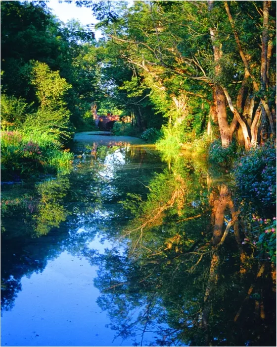 Framed Print : Canal view near Ifold, Sussex, England