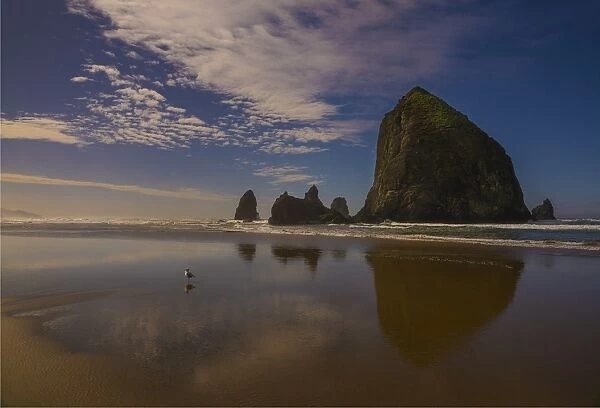Cannon beach, Oregon coastline, United States