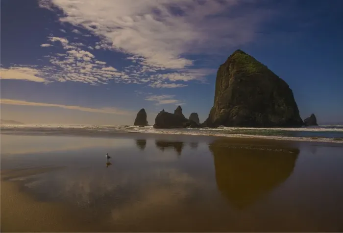 Framed Print : Cannon beach, Oregon coastline, United States