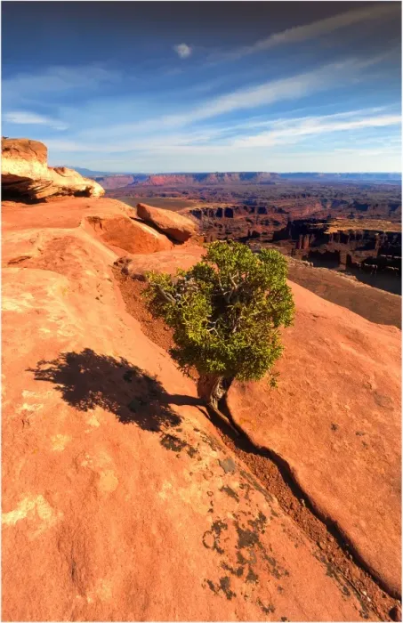 Framed Print : Canyonlands National park in Utah, south west United States