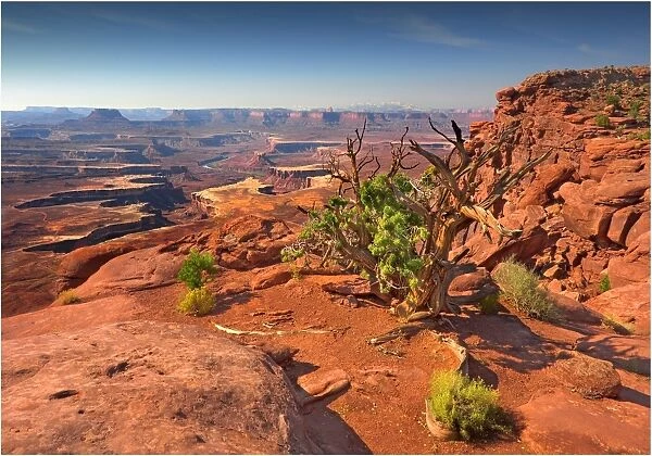 Canyonlands National park in Utah, south west United States