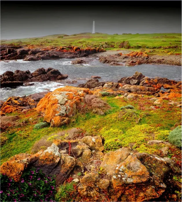 Framed Print : Cape Wickham