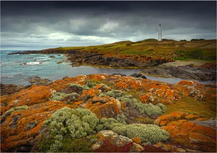 Framed Print : Cape Wickham Framed Print : Cape Wickham
