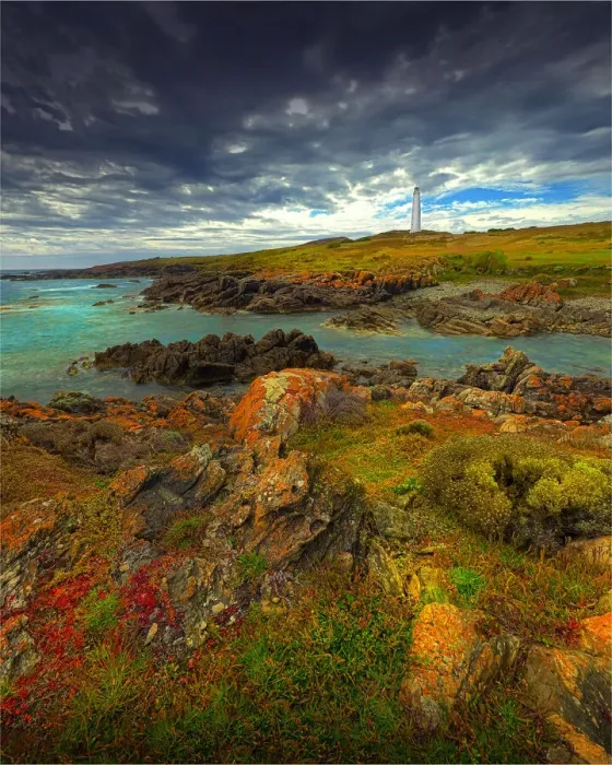 Framed Print : Cape Wickham in late springtime with wildflowers blooming, north coastline of King Island Framed Print : Cape Wickham in late springtime with wildflowers blooming, north coastline of King Island