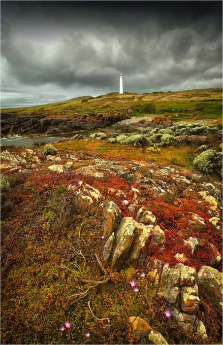 Framed Print : Cape Wickham Lighthouse