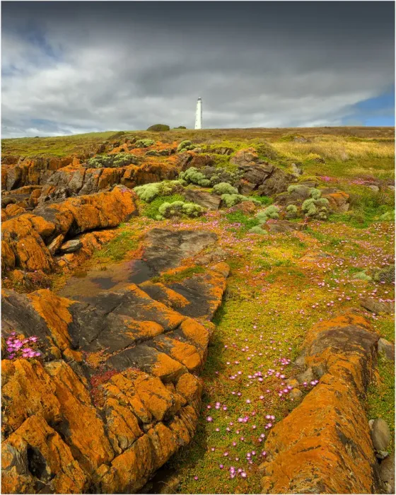 Framed Print : Cape Wickham in the Spring Framed Print : Cape Wickham in the Spring