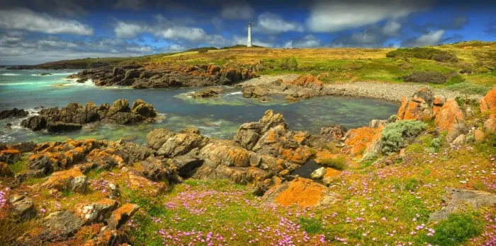 Framed Print : Cape Wickham Spring blooms Framed Print : Cape Wickham Spring blooms