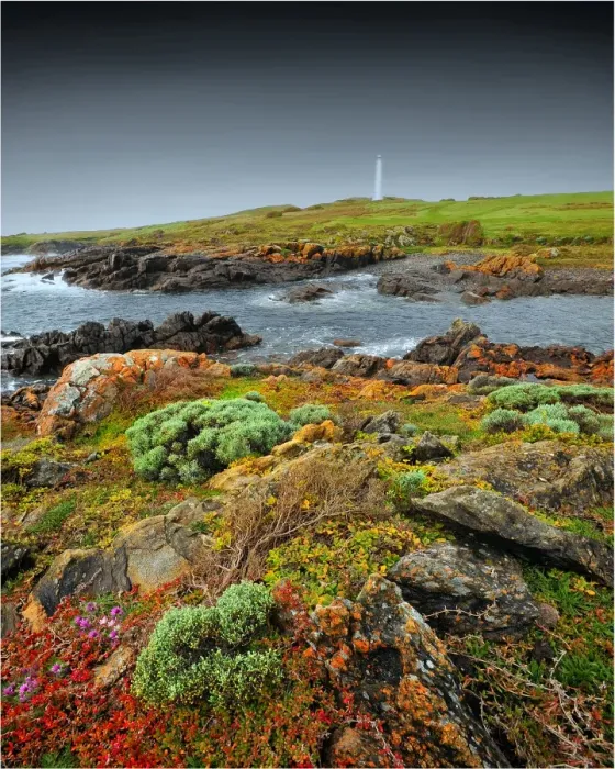 Framed Print : Cape Wickham viewpoint