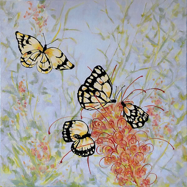 Caper White Butterflies on a Grevillea Flower Acrylic Painting