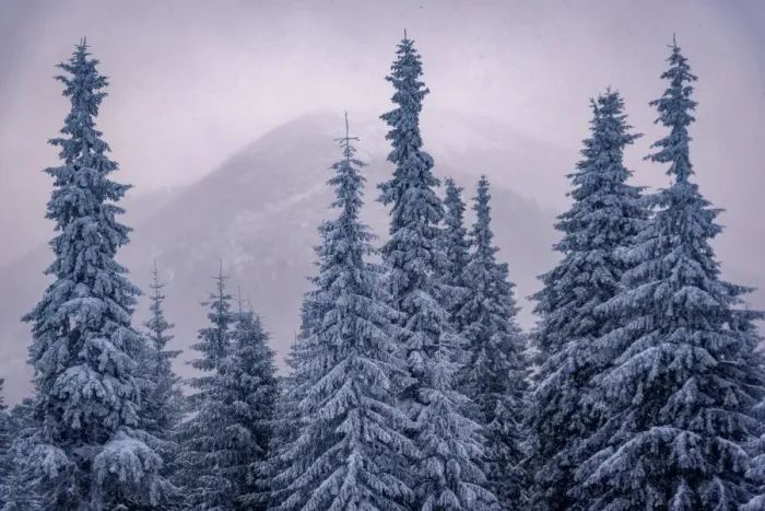 Framed Print : Carpathian Mountains Framed Print : Carpathian Mountains