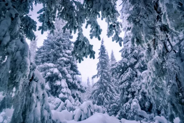 Framed Print : Carpathian Mountains Framed Print : Carpathian Mountains