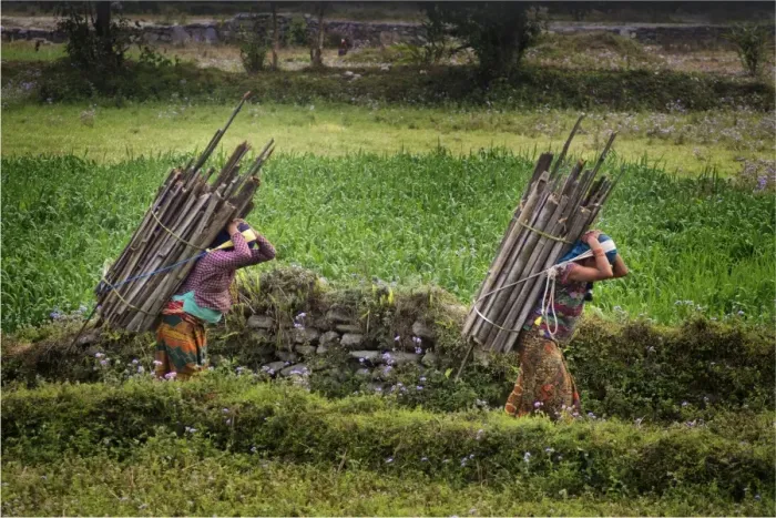 Framed Print : Carrying a heavy load in rural Kathmandu valley, Nepal