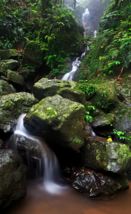 Framed Print : Cascading Stream