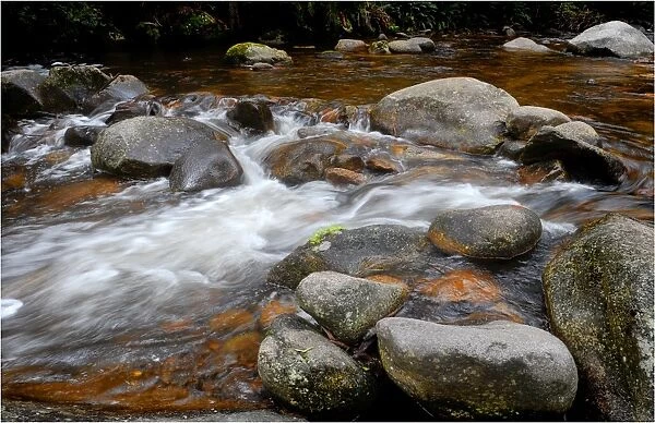Cascading water in a small stream, Otway ranges, Victoria, Australia