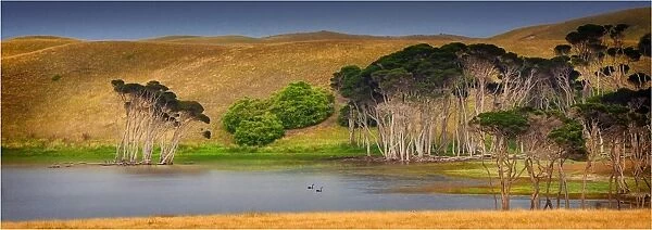 Cask lake. A panoramic view of Cask lake in the northern area of King island
