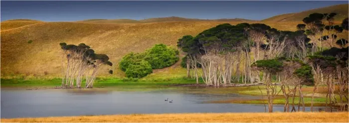 Framed Print : Cask lake. A panoramic view of Cask lake in the northern area of King island