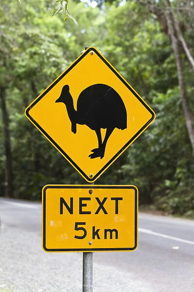 Cassowary warning sign in the rainforest, Daintree National Park, northern Queensland, Australia
