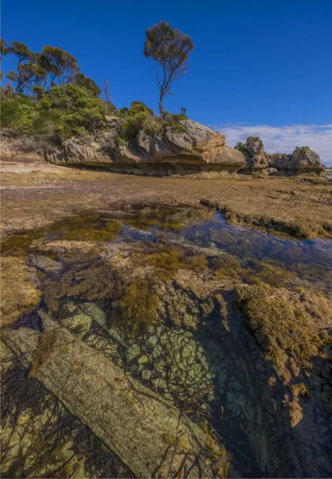 Framed Print : Cave beach in Port Davies at low tide, Flinders Island, Bass Strait, Tasmania, Australia