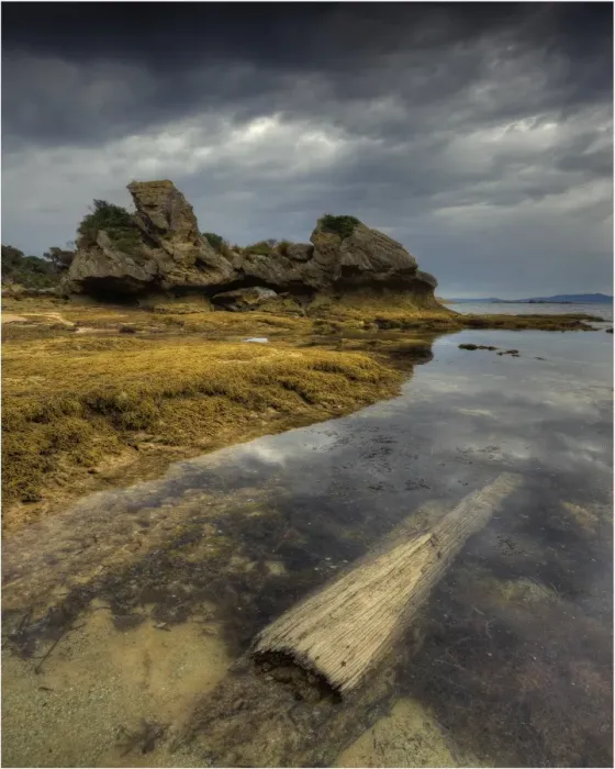 Framed Print : Cave beach, a remote and unusual part of the Western coastline of flinders Island, Bass Strait, Tasmania Framed Print : Cave beach, a remote and unusual part of the Western coastline of flinders Island, Bass Strait, Tasmania
