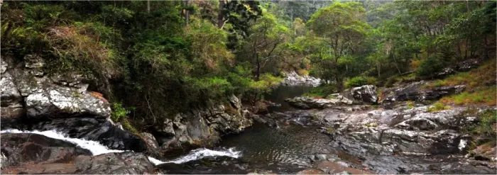 Framed Print : Cedar creek, Mount Tamborine, Queensland, Australia