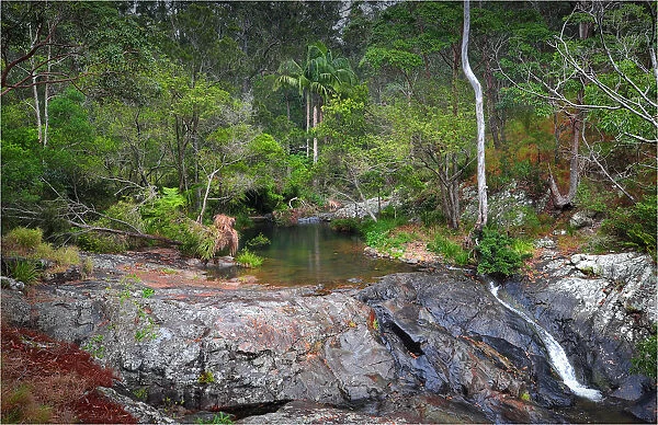Cedar creek, Mount Tamborine, Queensland, Australia