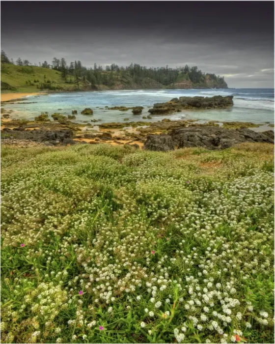 Framed Print : Cemetery Bay