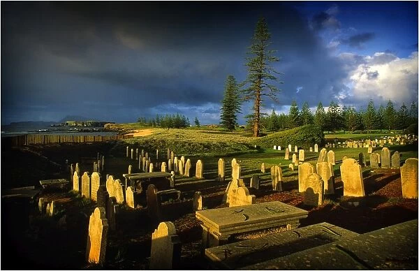 Cemetery dawn