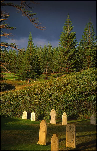 Cemetery Dawn