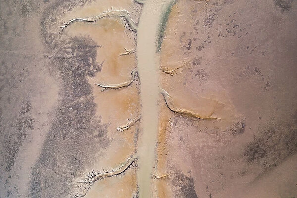 Channel of water on the delta of the Fitzroy River seen from a birds-eye perspective, Derby, Western Australia, Australia