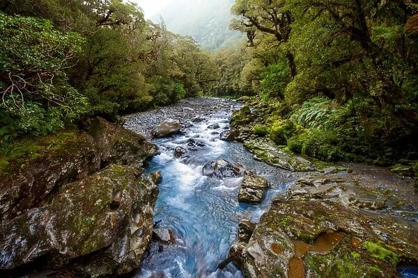 The Chasm in Fiordland National Park and Milford Sound Area in the Fiordland Region, Te Anau, South Island, New Zealand