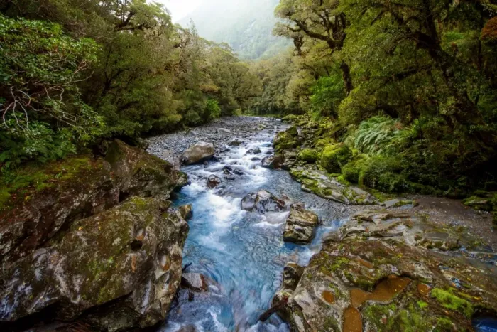 Framed Print : The Chasm in Fiordland National Park and Milford Sound Area in the Fiordland Region, Te Anau, South Island, New Zealand Framed Print : The Chasm in Fiordland National Park and Milford Sound Area in the Fiordland Region, Te Anau, South Island, New Zealand