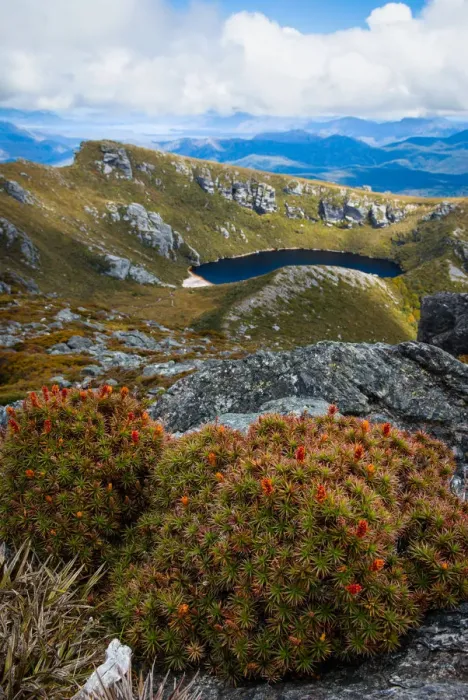 Framed Print : Cirque lake and heath, Western Arthurs, Tasmania