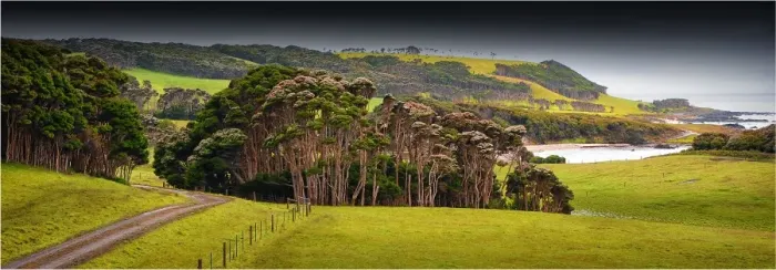 Framed Print : City of Melbourne Bay, named after a shipwreck, is a beautiful small cove on the Eastern coastline of King Island, Bass Strait, Tasmania