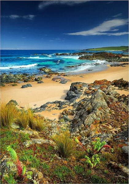 City of Melbourne Bay, named after a shipwreck, is a beautiful small cove on the Eastern coastline of King Island, Bass Strait, Tasmania