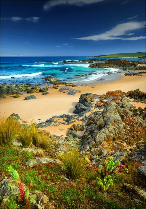 Framed Print : City of Melbourne Bay, named after a shipwreck, is a beautiful small cove on the Eastern coastline of King Island, Bass Strait, Tasmania Framed Print : City of Melbourne Bay, named after a shipwreck, is a beautiful small cove on the Eastern coastline of King Island, Bass Strait, Tasmania