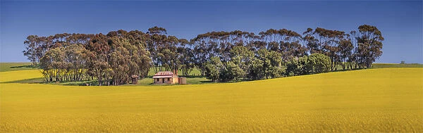 Clare valley panorama