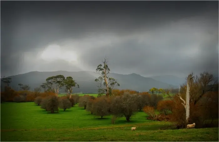 Framed Print : A clearing storm, Upper Blessington, North Central Tasmania, Australia