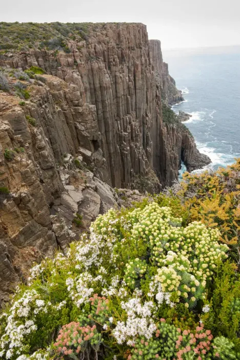 Framed Print : Cliffs at Cape Raoul on Tasman Peninsula, Tasmania