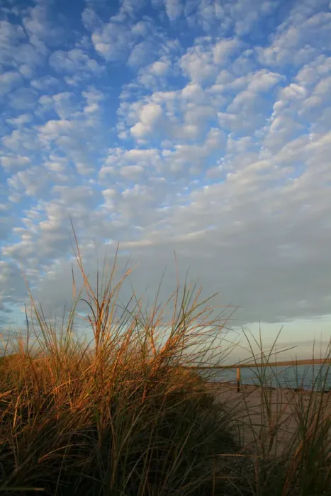 Framed Print : Cloud, patterns, grass, texture, sunrise, monkey mia, westernaustralia, australia