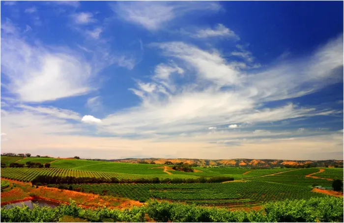 Framed Print : Clouds forming over the vineyards at McClarenvale, Fleurieu Peninsula, near Adelaide, South Australia