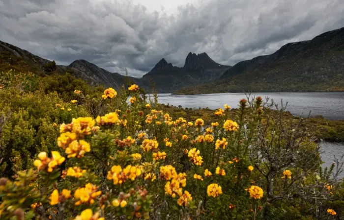 Framed Print : cloudy cradle mountain
