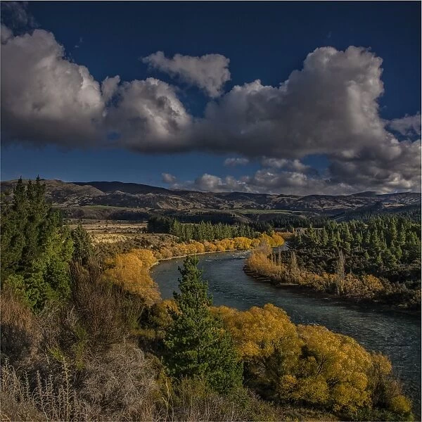 Clutha River view